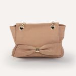 Audrey Bow Chain Bag