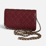 Classic Wallet On Chain